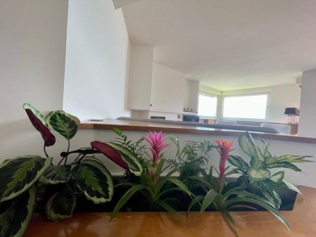 Villa Casa Caponetti Costa Volpino Esterno foto